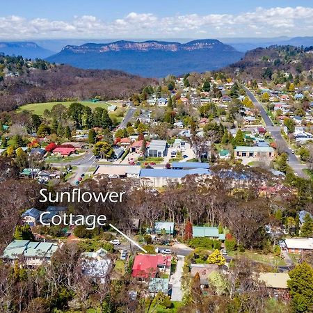 Sunflower Cottage Katoomba Eksteriør billede